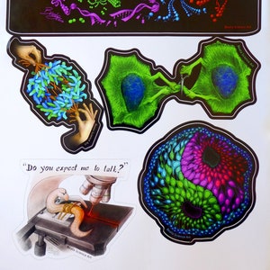 Science Art Stickers Set de 5 Biologie moléculaire, Dessins, Mitose, C elegans, Neurobiologie, STEM, Enseignant, Cadeau, Doctorat, Diplôme image 1