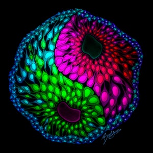 May include: A psychedelic abstract design with a yin yang symbol in the center. The design is made up of a variety of colors, including green, blue, pink, and red. The design is surrounded by a black background.