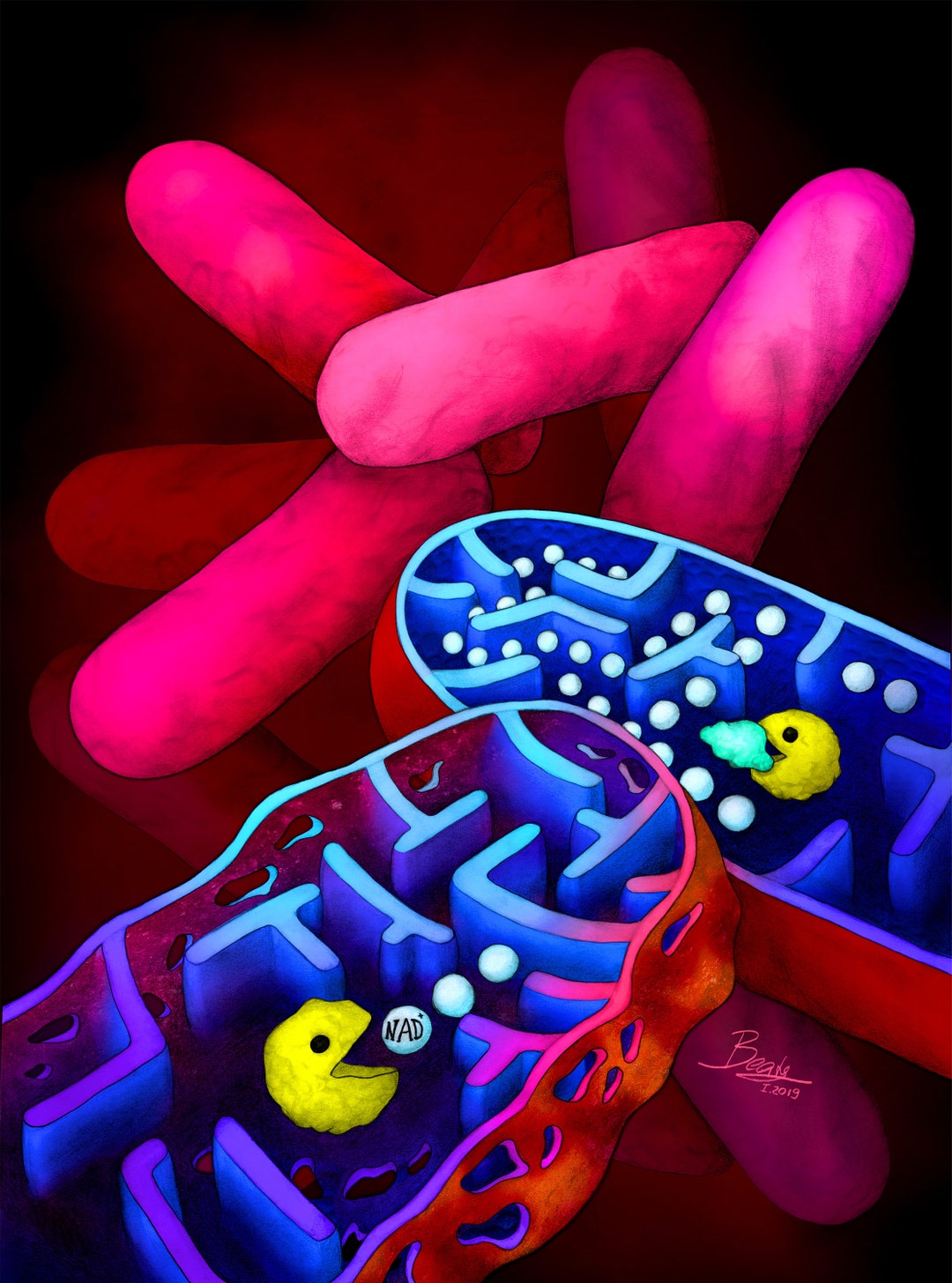 Pac-man Toxin in Tuberculosis - Science Art Print on Paper, Canvas ...
