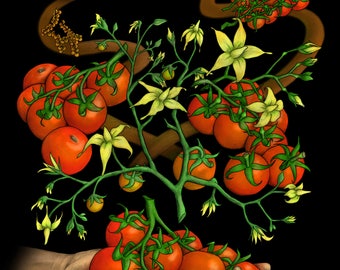 CRISPR Tomatoes - Science Art Print on Canvas (Molecular Biology, Biotechnology, Plants, DNA, Gene Engineering, Cas9, STEM, Teacher, Gift)