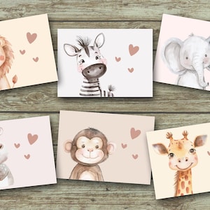 Postkarten Safari-Tiere 6er Set + 1 Karte gratis - DIN A6