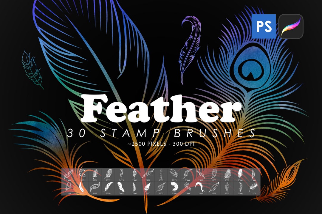 Procreate Feather Stamps Brushes Procreate Tattoo Etsy