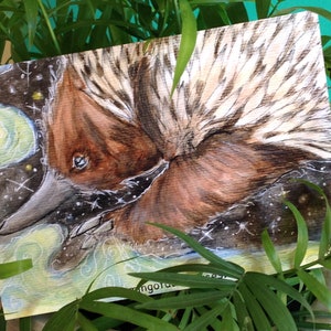 Unique and fantastical Australian echidna postcard & envelope. Print of an original watercolour by Australian artist, note or thank you card image 3