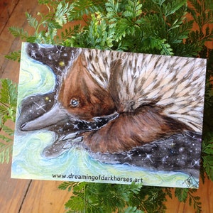 Unique and fantastical Australian echidna postcard & envelope. Print of an original watercolour by Australian artist, note or thank you card image 1