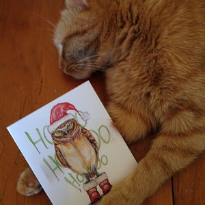 Holly the Grumpy Chrismas Owl, Merry Xmas to Owl: die Eulen für alle Gelegenheiten, lustig/humorvoll, Weihnachtskarten von Dreamingofdarkhorses