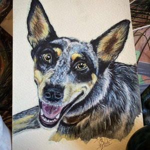 Puede incluir: Pintura acuarela de un perro blue heeler con marcas marrones y negras. El perro está mirando al espectador con la boca abierta y la lengua fuera. La pintura está firmada y fechada "2022".