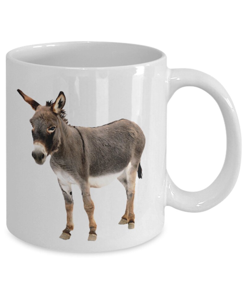 Baby Donkey Mug Funny Tea Hot Cocoa Coffee Cup Novelty Birthday Christmas Anniversary Gag Gifts Idea image 2