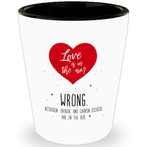 Funny Sheldon Shot Glasses - Science Nerd Shot Glass - Novelty Birthday Gift Idea