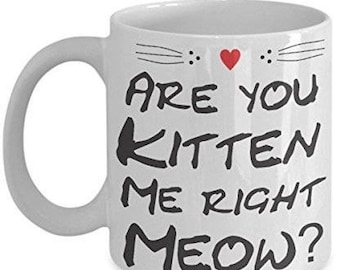 LIMITED SALE Funny Kitten Mug, Are You Kitten Me Right Meow, kitten Coffee mug