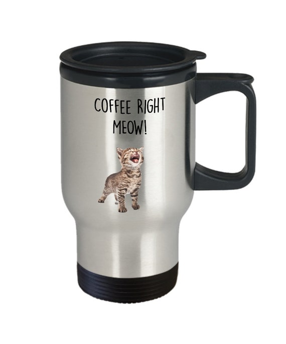 Funny Cat Travel Mug With a Handle and Lid Insulated Coffee 