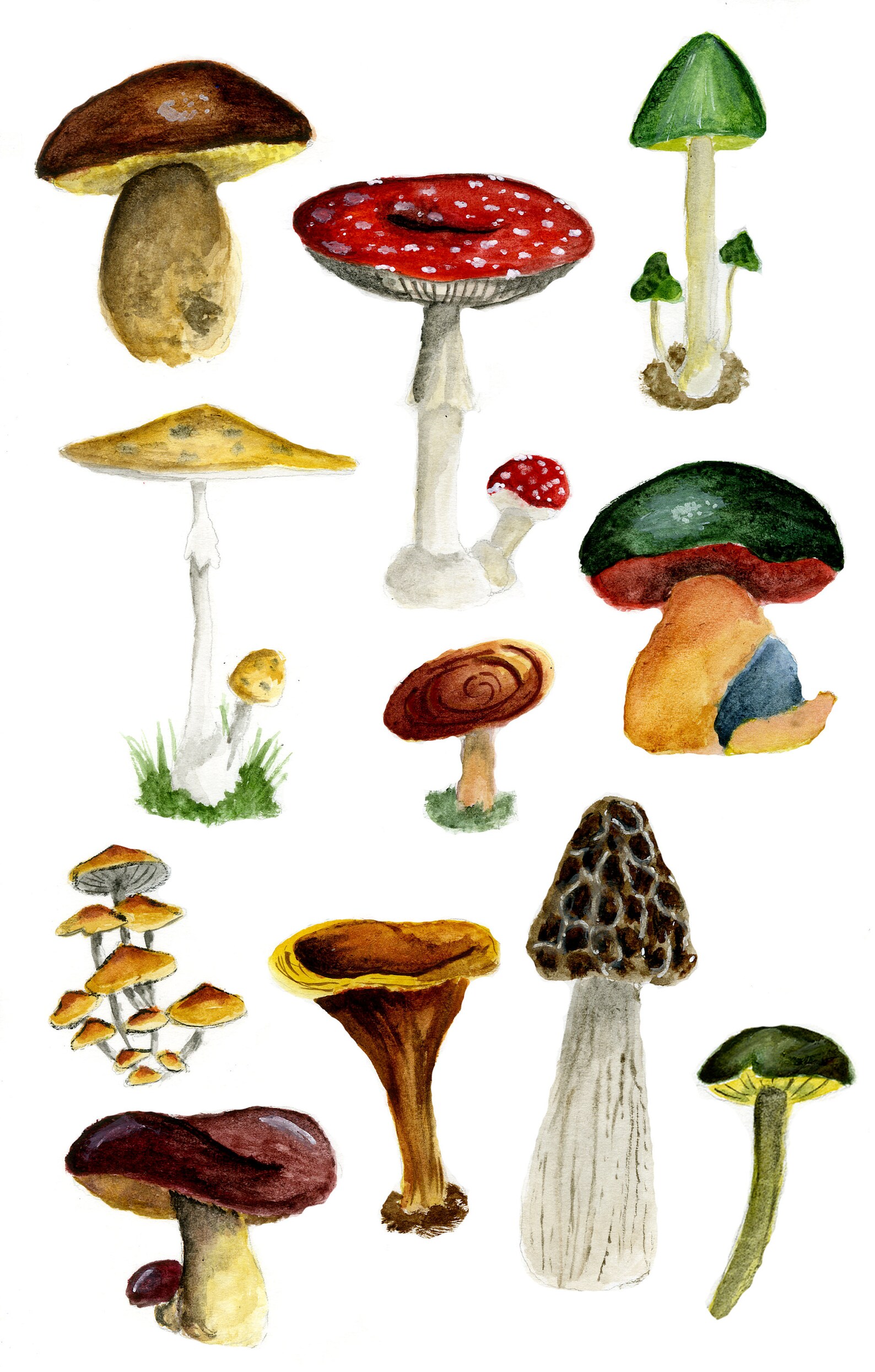 Mushroom stickers Etsy