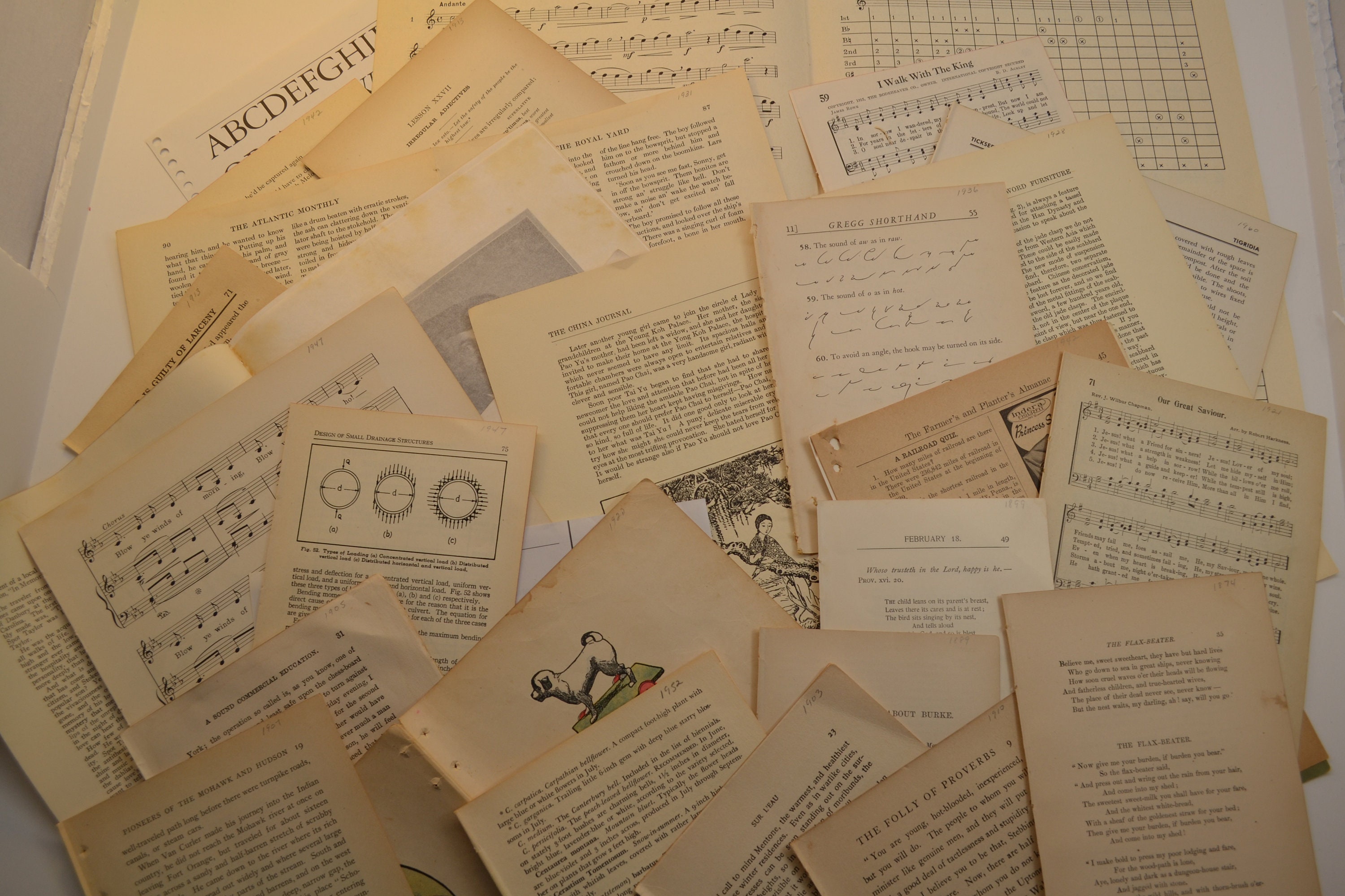 Hide me series the complete collection english edition