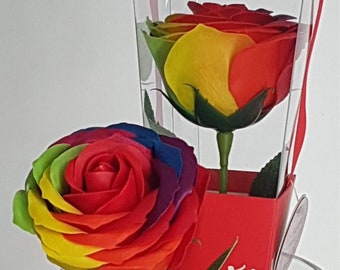 Flor de jabón individual Rainbow Rose 10% se destina a la investigación de tumores cerebrales, regalo de caridad, regalo de cumpleaños de marzo, idea de regalo del NHS