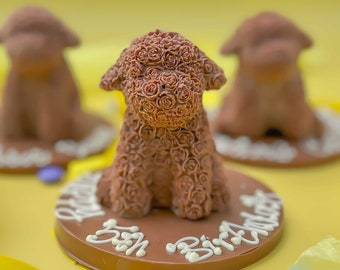 Perro Smash de chocolate, lindo regalo comestible, cumpleaños de marzo, idea de cumpleaños para niños, regalo de amante de perros, mamá de perro, regalo de Pascua