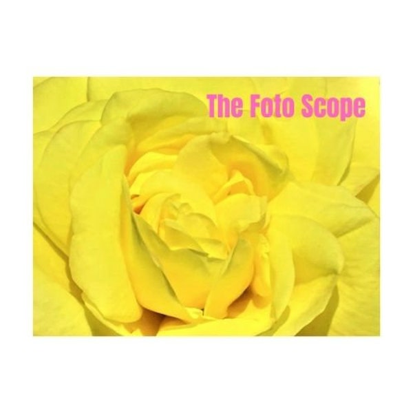 Yellow Rose in Big Close-up (Digital Downloadable Photo)