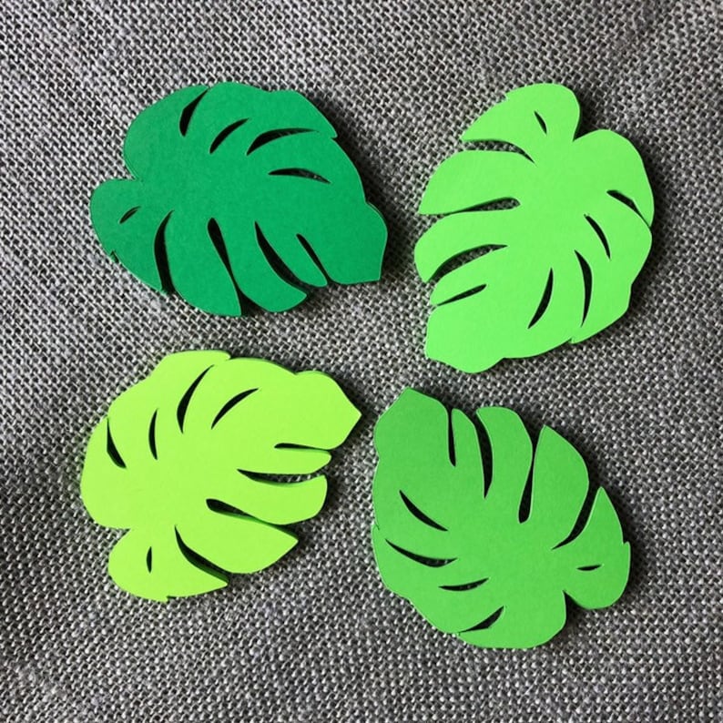 Palm Leaf Paper Cut outs Set of 25 Monstera Leaf Die Cuts Etsy