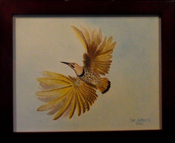 Ptak Rysunek Rysunek Natury Ołówkiem Prismacolor ścienne Sztuki Współczesnej Flying Migotanie Przez Ken