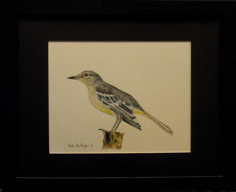 Rysunek Ptak Rysunek Ołówek Prismacolor Natura Wall Art Etsy