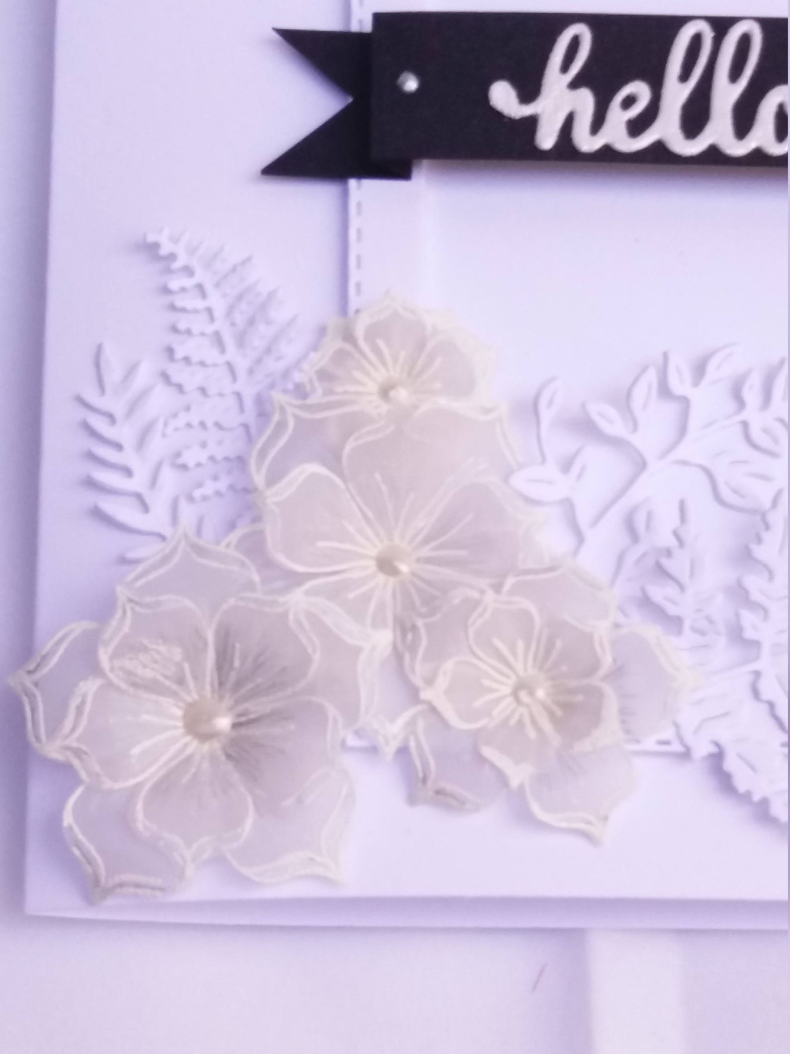 Blank Greeting Card Classic White Greeting Card Birthday Etsy