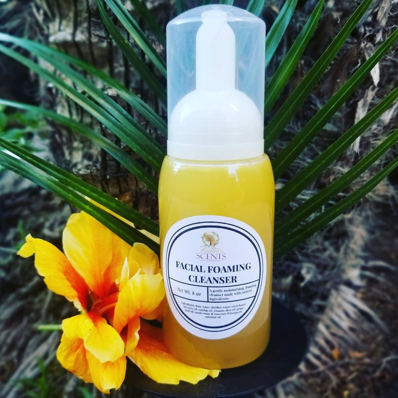 Facial Foaming Cleanser Bottles & Refills l Natural Etsy