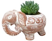 Terracotta Elephant Planter, Terracotta Planter, Terracotta plant pot, ceramic plant pots, Container gardening, Indoor and outdoor planters
