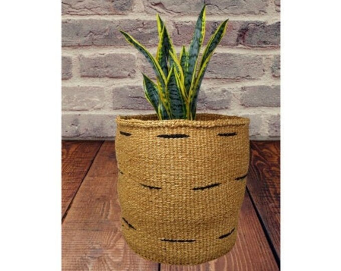 Planter Baskets Large, Woven Basket Planter, 10 Inch Baskets for Plants