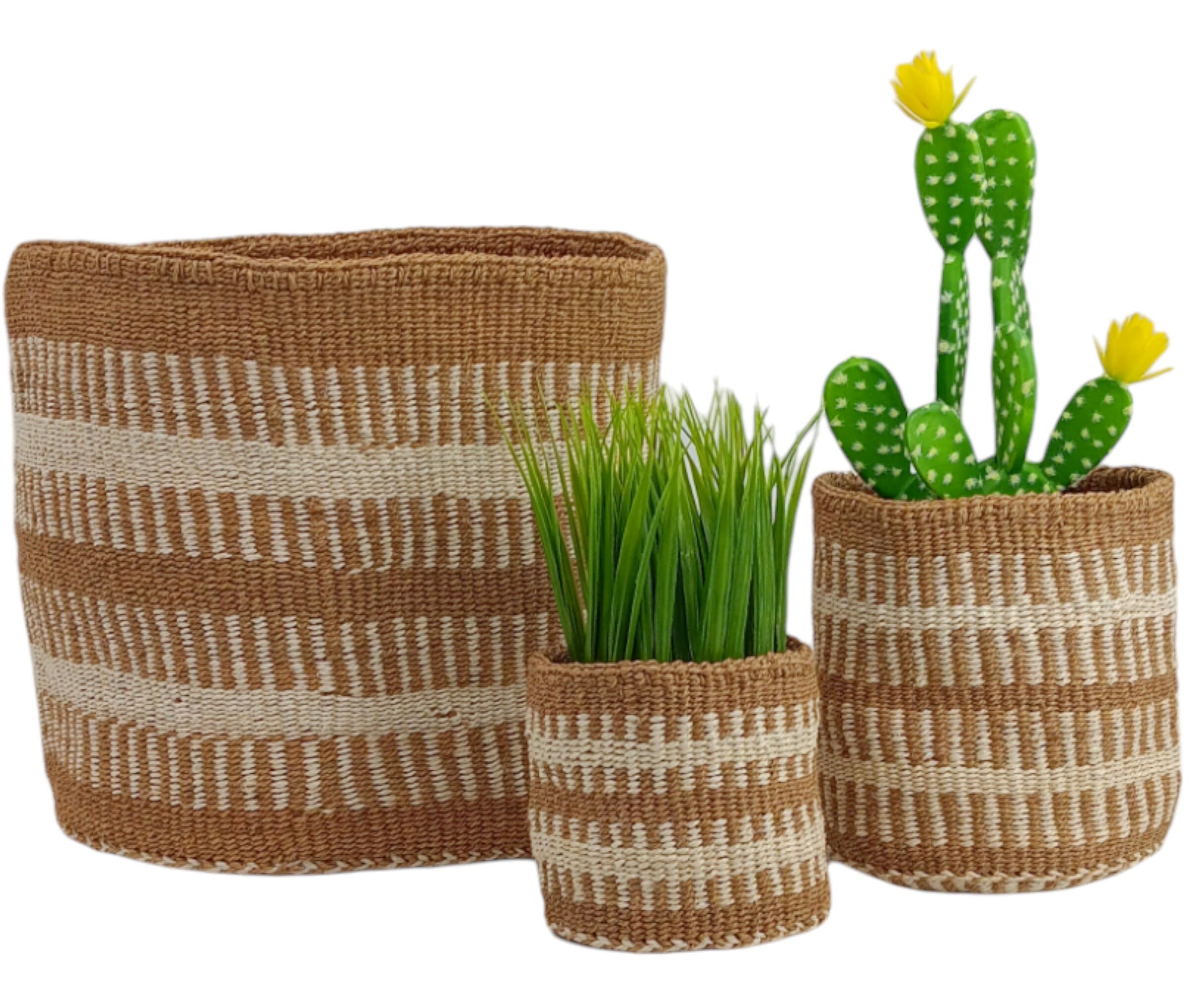 indoor plant pot with drainage Shop White Succulent Plant Pot and Mini Ceramic Cactus Planter at Planet  Desert
