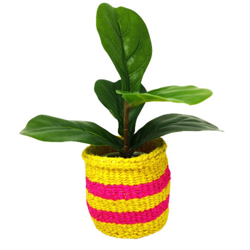 Kiondo basket cactus planter small shelf basket miniature planter succulent planter desk planter sisal basket small woven basket set