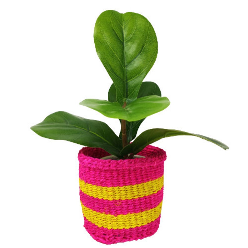 Kiondo basket cactus planter small shelf basket miniature planter succulent planter desk planter sisal basket small woven basket set