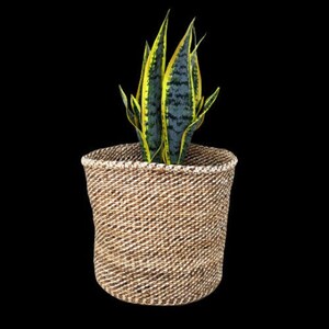 African storage basket, woven basket, woven storage basket, decorative basket, Farmhouse basket decor, gift for her, Succulent Plant holder image 8