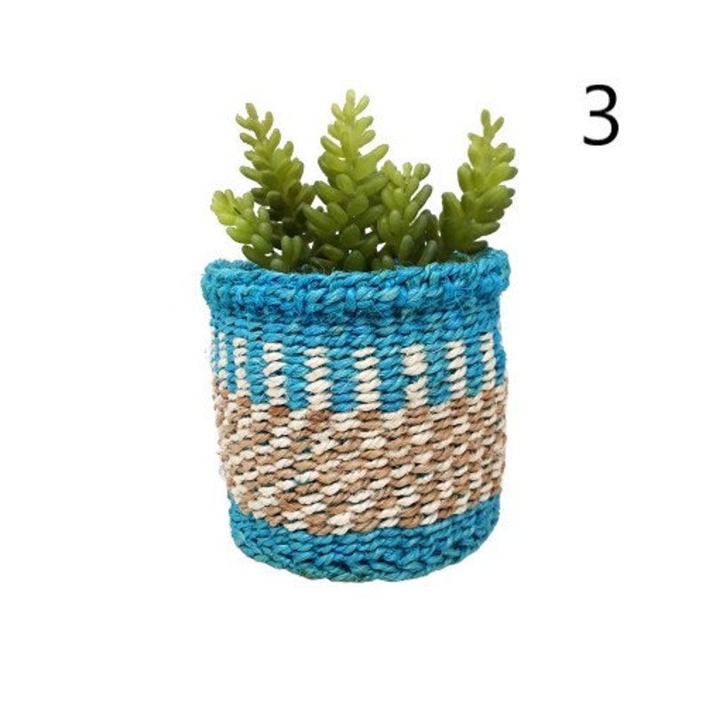 Small Woven Plant Basket Small Indoor Planter Succulent Etsy