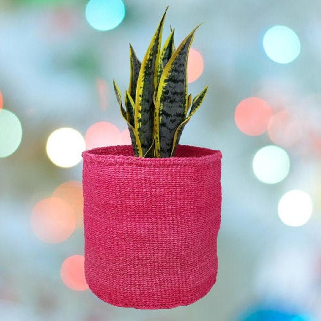 Sisal Baskets, African Storage Baskets, Plant Pot Baskets, Kiondo