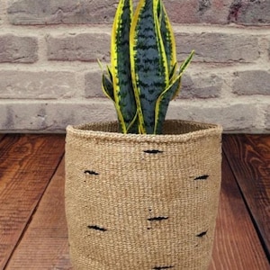 Puede incluir: Una planta serpiente alta, verde y amarilla en una cesta tejida natural con detalles negros. La cesta está sobre un suelo de madera.