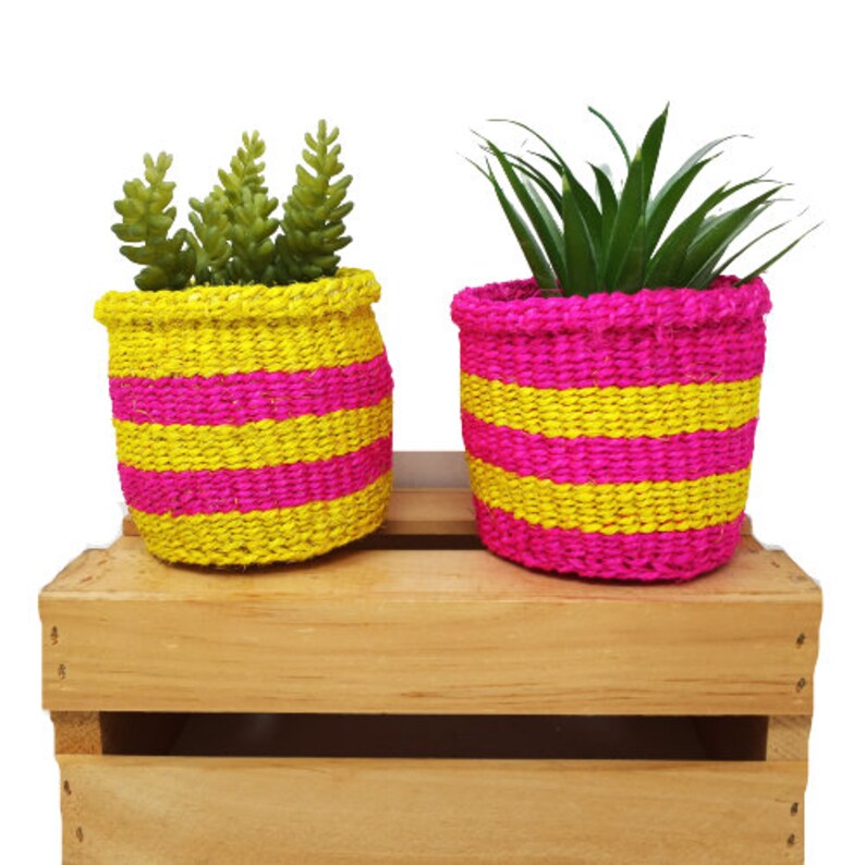 Kiondo basket cactus planter small shelf basket miniature planter succulent planter desk planter sisal basket small woven basket set