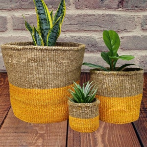 Woven basket sets, African Storage baskets, Colorful baskets, Sisal basket, Baskets for plants, Plant pot baskets, Indoor woven plant basket