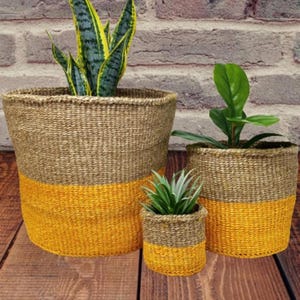 Handwoven Sisal Basket: African Storage, Plant Pot, Colorful Woven Baskets