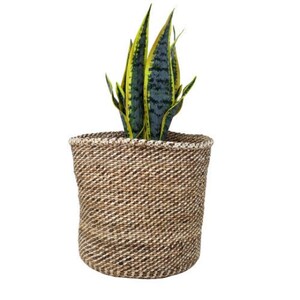 African storage basket, woven basket, woven storage basket, decorative basket, Farmhouse basket decor, gift for her, Succulent Plant holder image 5