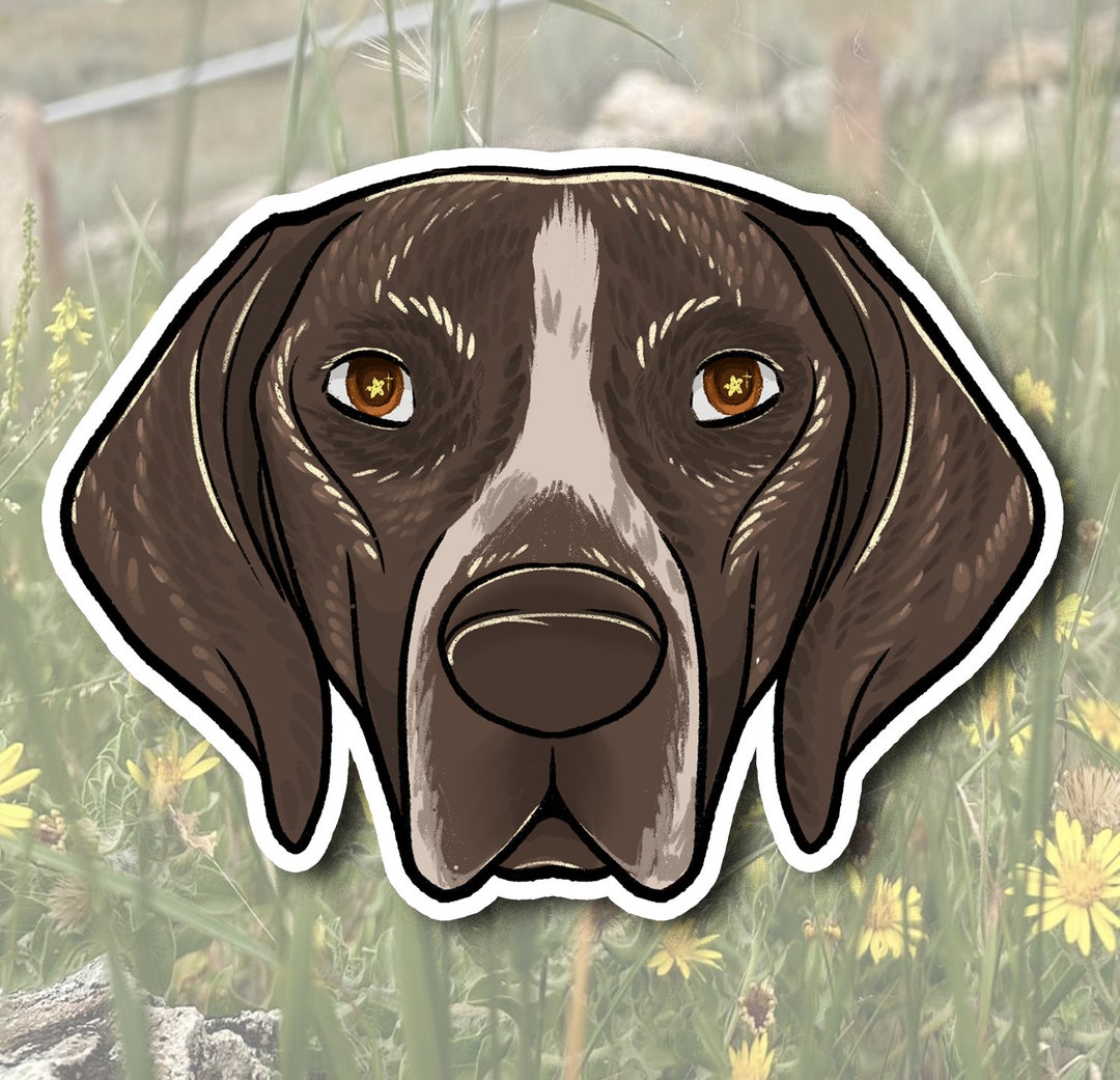 German Shorthaired Pointer Sticker: Waterproof Dog Vinyl Decal - Etsy