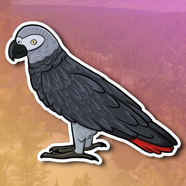 Congo African Grey Parrot Waterproof Sticker | Cute African Grey Parrot Vinyl Sticker | Parrot Vinyl Sticker for Car Tumbler Laptop