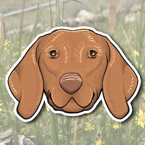 Vizsla Dog Waterproof Sticker | Vizsla Face Sticker | Dog Vinyl Sticker for Car Tumbler Laptop