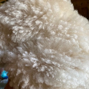 May include: Close-up of a soft, white, fluffy sheepskin rug. The texture is dense and plush, with a light brown undertone.