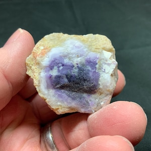 May include: A raw, natural stone specimen featuring a blend of colors. The stone has a light tan exterior with a central area of vibrant purple and black hues. The stone's surface has a rough, textured appearance, showcasing its natural form.
