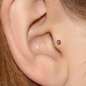 SALE - Cartilage Earring jewelry - Surgical steel tragus piercing, helix stud barbell