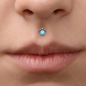 Anneau De Nez Fer à Cheval 20G – 8 Mm Filetage Interne – Acier Chirurgical 316L – Avec Boules De Remplacement Et Pince
