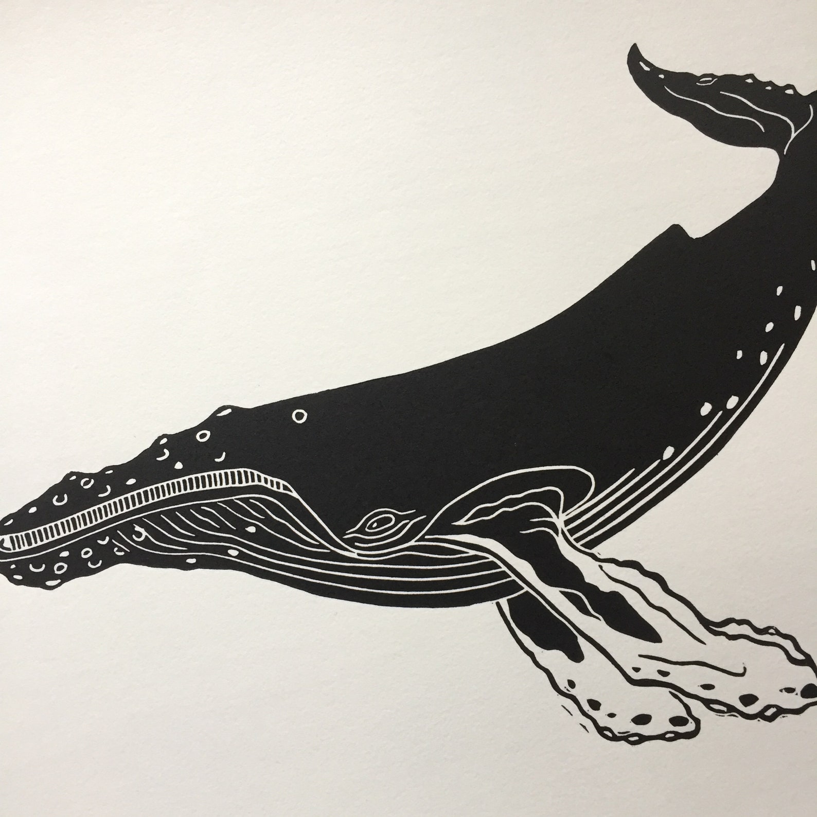 Original Linocut Print Humpback Whale Hand Printed | Etsy