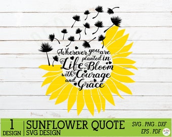 Download Sunflower Saying Svg Etsy