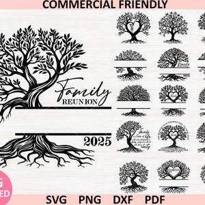 Familienbaum SVG-Bundle, Baum des Lebens svg, Familienbaum-Split-Monogramm-Rahmen svg, Nachname-Stammbaum, Familientreffen-Shirt svg, Familienzitat svg