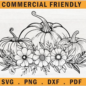 Bloem pompoenen SVG, pompoen SVG, pompoen met bloem SVG, herfst, Thanksgiving pompoenen SVG, herfst SVG, pompoen oogst, bloemen pompoen patch