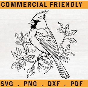 Weihnachten Kardinal Vogel SVG, Kardinalvogel auf Ast, Weihnachten roter Vogel SVG, roter Kardinal Vogel svg, Kardinal Clipart, Gedenkvogel svg