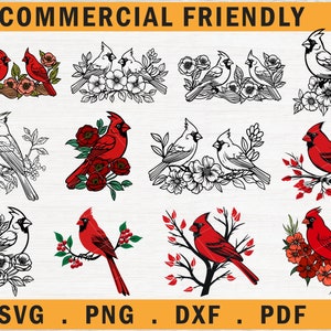 Bundle d'oiseau Cardinal de Noël SVG, oiseau Cardinal sur une branche d'arbre svg, Svg d'oiseau rouge de Noël, lot d'oiseau Cardinal rouge svg, clipart Cardinal